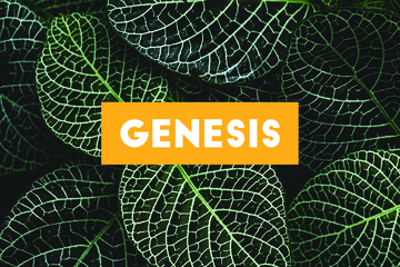Genesis