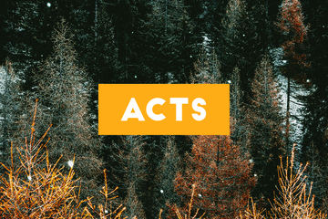 Acts